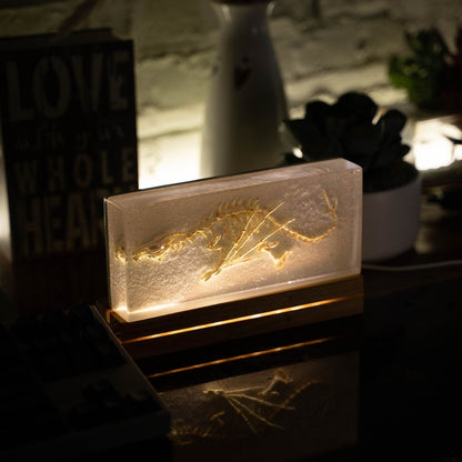 The Prehistoric Dragon Fossil Night Light