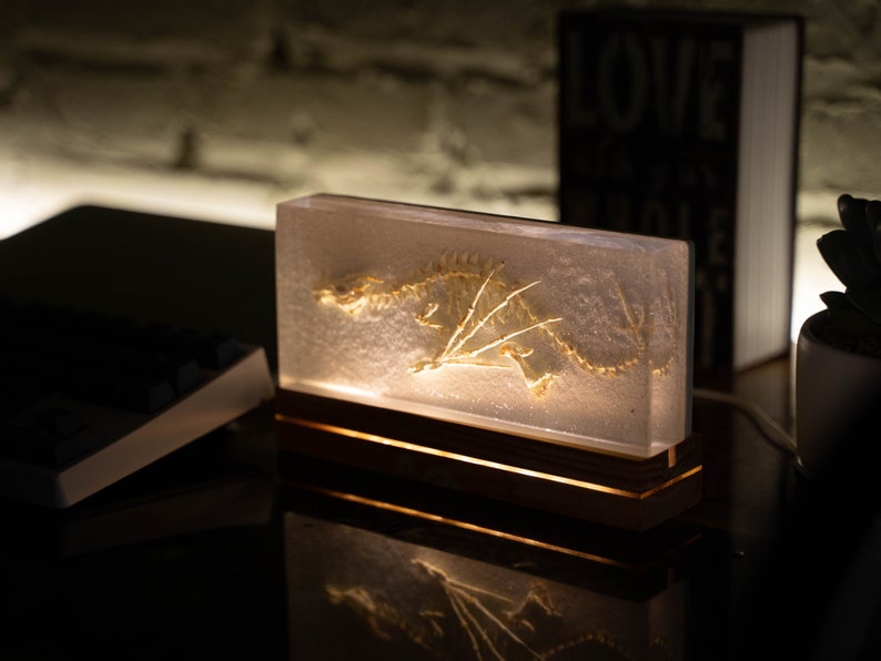 The Prehistoric Dragon Fossil Night Light