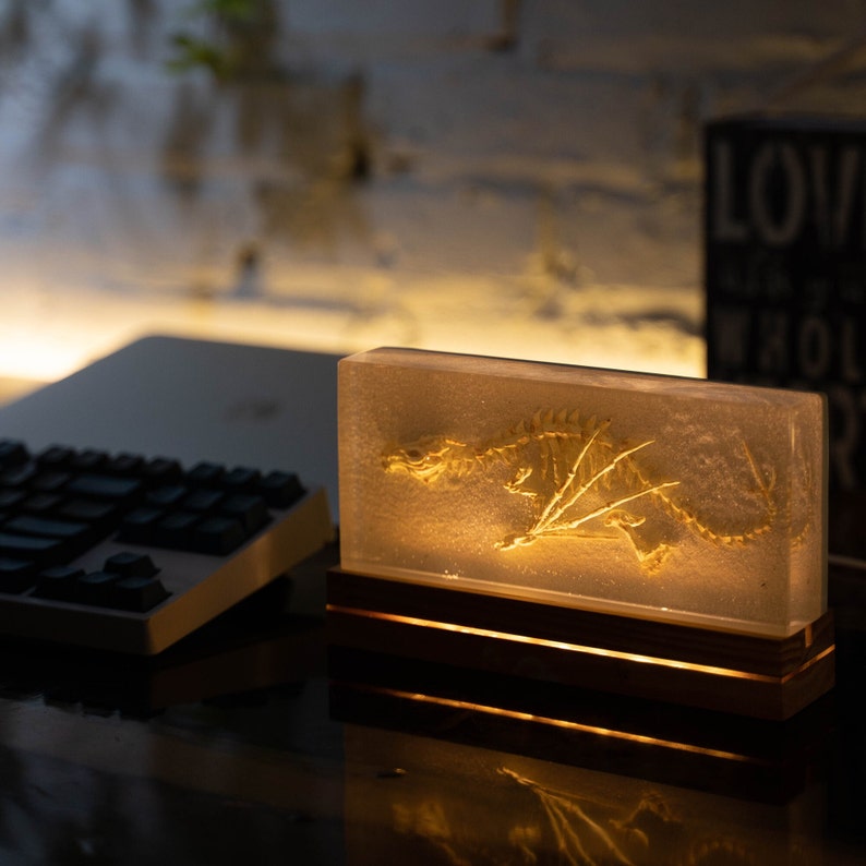 The Prehistoric Dragon Fossil Night Light