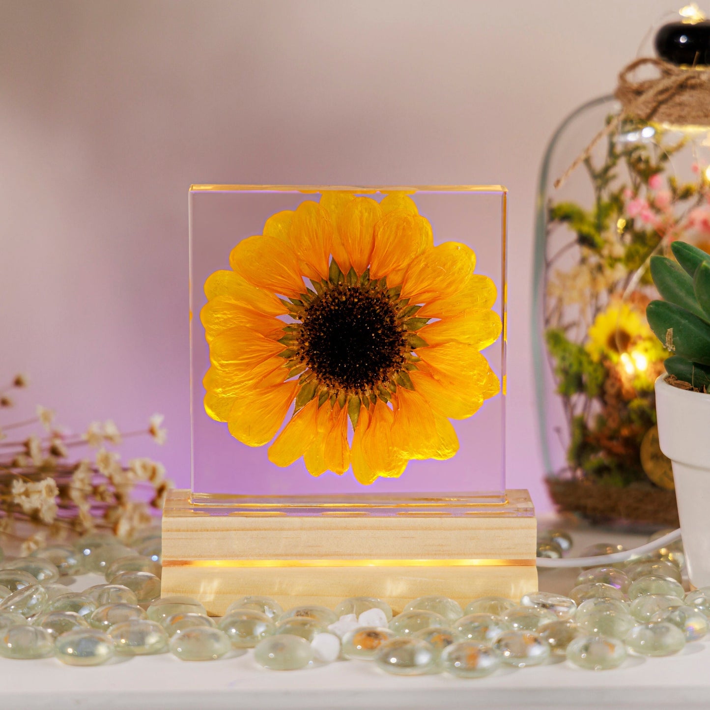 Sunflower Night Light