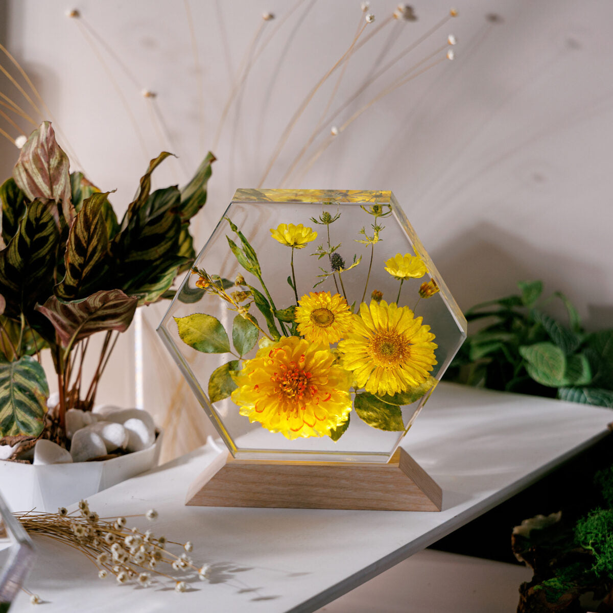 Golden Daisy Ver 2 Flower Resin Lamp