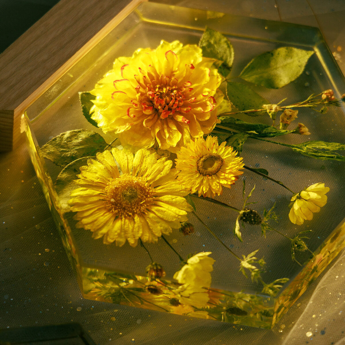 Golden Daisy Ver 2 Flower Resin Lamp